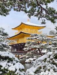 日本冬季遊·暴雪後的京都才是真的瘋狂了！