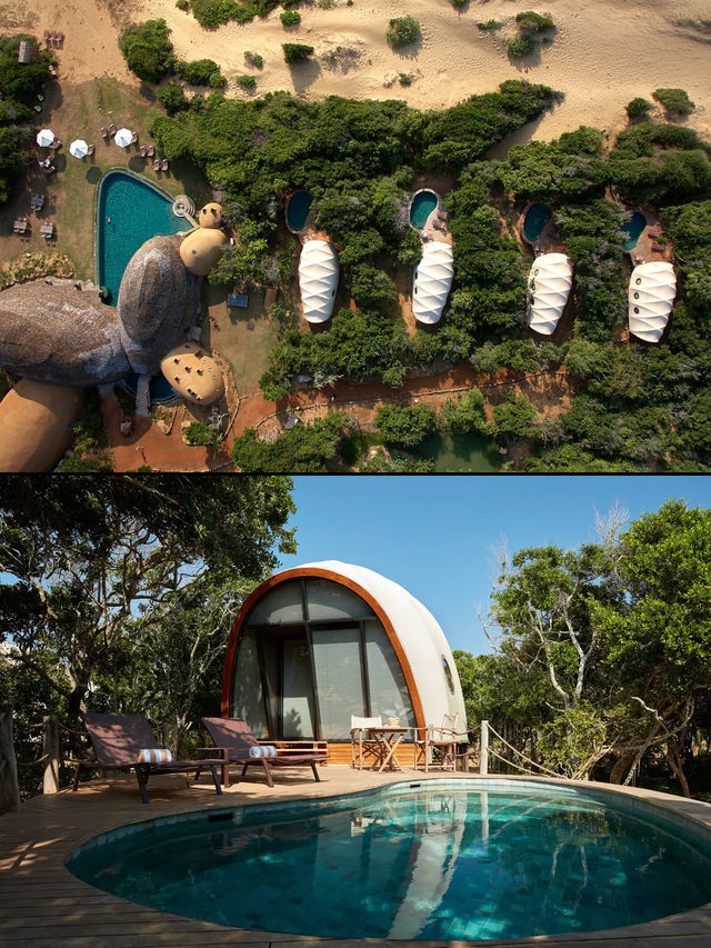 誰說這斯里蘭卡破啊家庭旅行可太好了