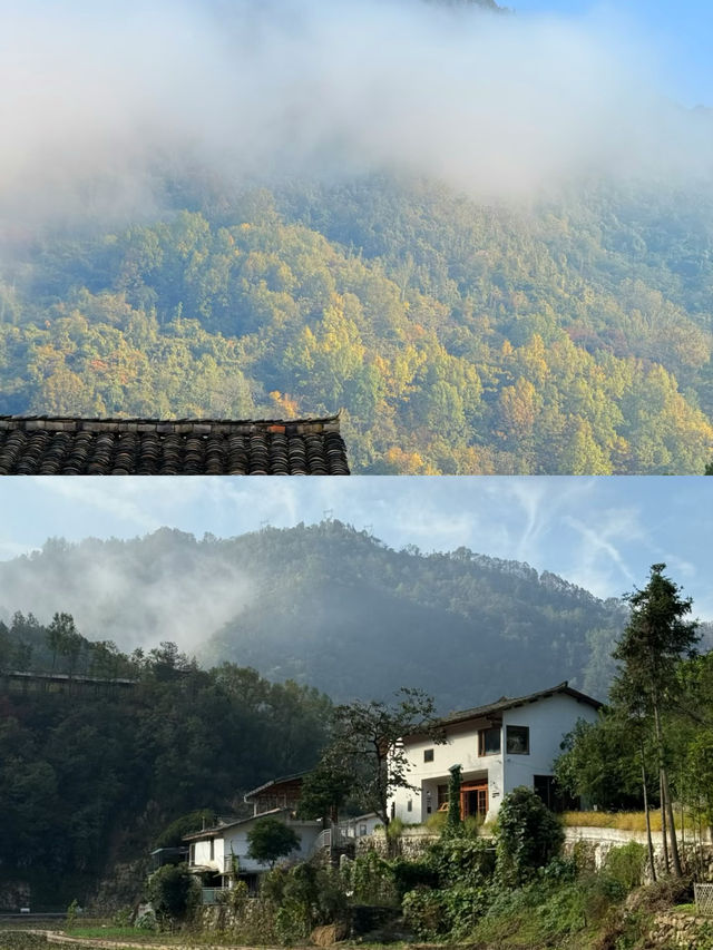 人生建議：一定要深入秦嶺深處嘅治癒烏托邦