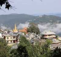 古茶聖地景邁山