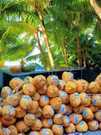 分界洲島值得人少景美的果凍海攻略在此