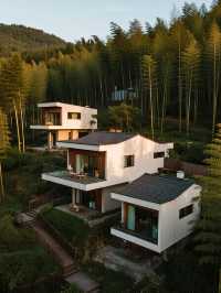 初冬宜興遛娃竹海秘境親子遊,帶娃解鎖慢生活