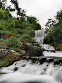 打卡雲南尼珠河大峽谷