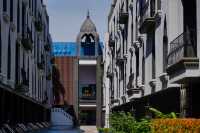 私享一池碧水,靜謐綠洲中甦醒