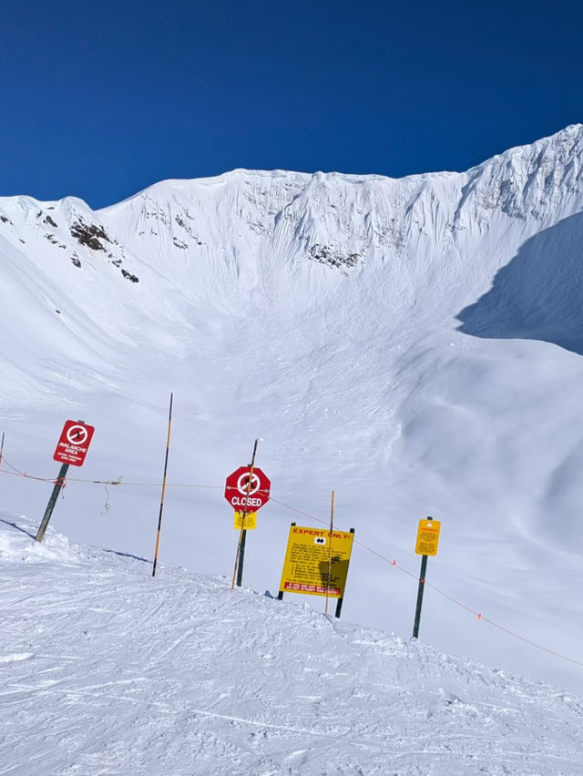 Skiing Alyeska: Epic Snow Vibes & Northern Lights ✨❄️ Skiing Alyeska: Epic Snow Vibes & Northern Lights ✨❄️