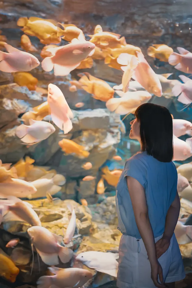 長隆飛船樂園跟拍太絕了每張都像電影 長隆飛船樂園跟拍太絕了每張都像電影