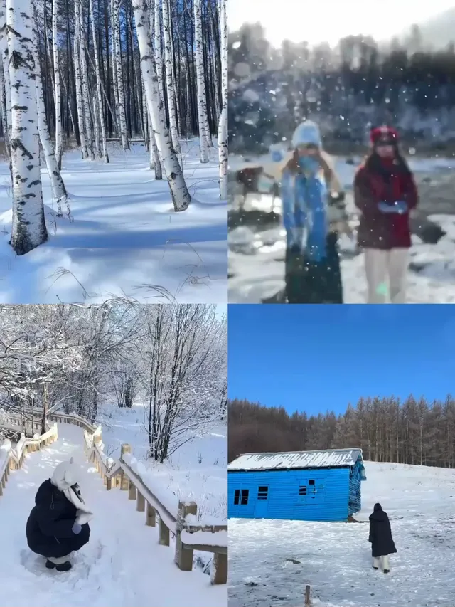 阿爾山輕奢小眾路線攻略雪景童話世界