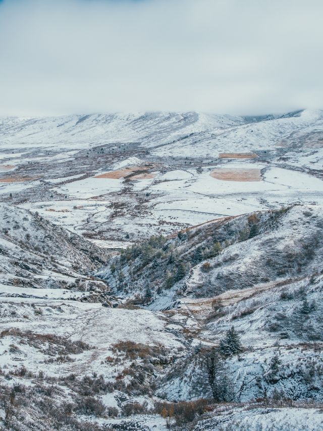 自駕川西|一場大雪,川西有了冬日氛圍 自駕川西|一場大雪,川西有了冬日氛圍