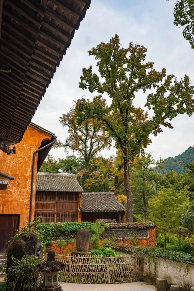 千年古剎-國清寺 靜心之旅