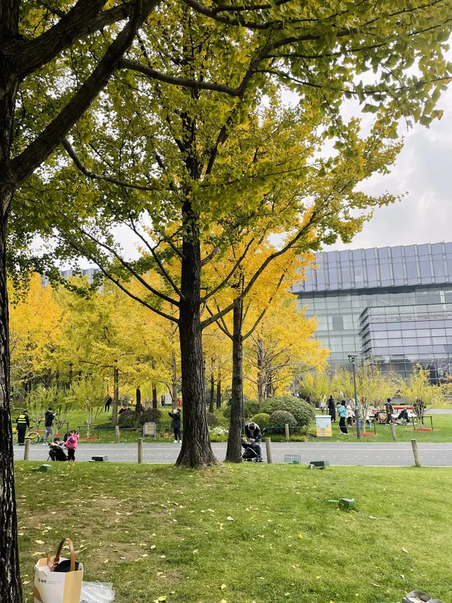 世博公園限時銀杏，週末快衝| 附機位攻略