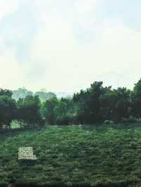 從無錫出發，一個半小時就能抵達的親子度假酒店！長興芳草地度假酒店簡直是帶娃放電的完美選擇，我們家崽崽