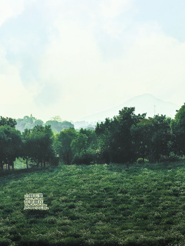 從無錫出發，一個半小時就能抵達的親子度假酒店！長興芳草地度假酒店簡直是帶娃放電的完美選擇，我們家崽崽