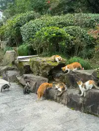 爬過九華山的人嘴可真嚴