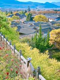 赴一場木府之約