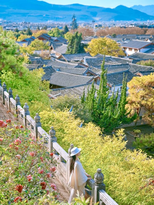 赴一場木府之約