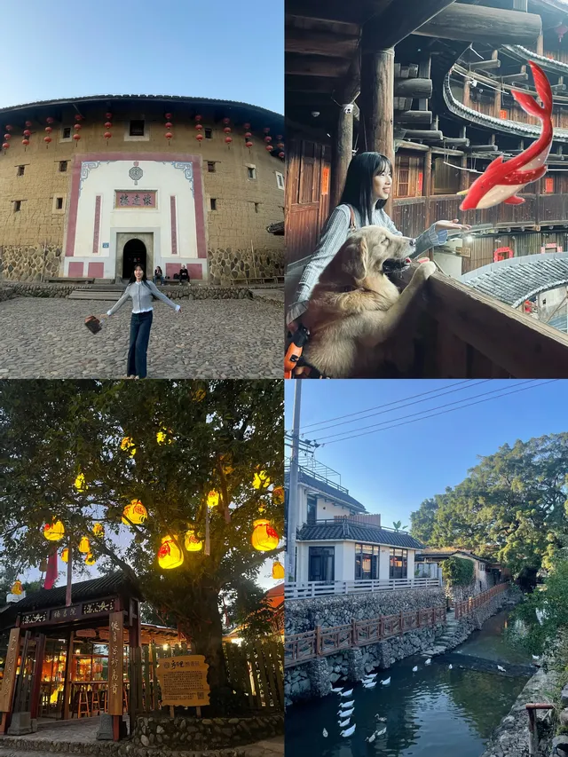 福建雲水謠|帶狗狗走進大魚海棠的童話世界 福建雲水謠|帶狗狗走進大魚海棠的童話世界