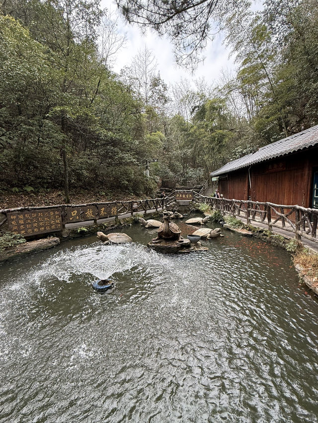張家界 / 神龜潭 張家界 / 神龜潭