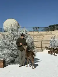 小來黃島嘉年華海信廣場啦~
