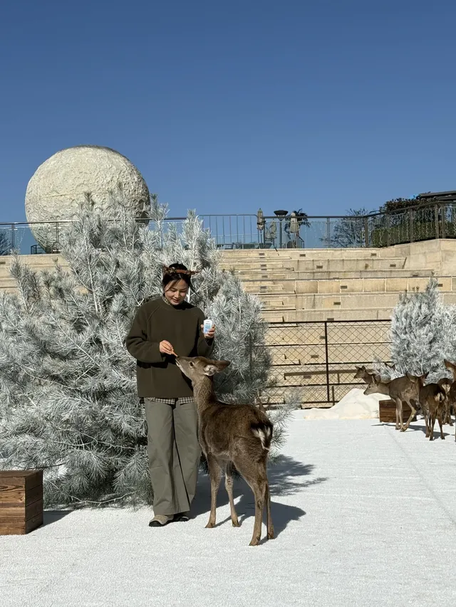 小來黃島嘉年華海信廣場啦~ 小來黃島嘉年華海信廣場啦~