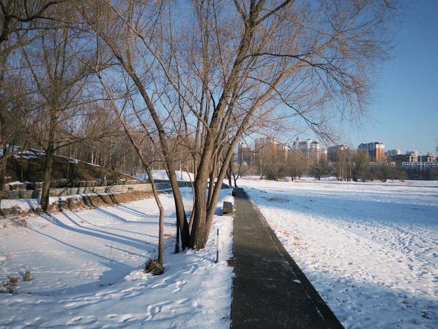 哈爾濱冬日小眾秘境·多圖暴擊預警 哈爾濱冬日小眾秘境·多圖暴擊預警