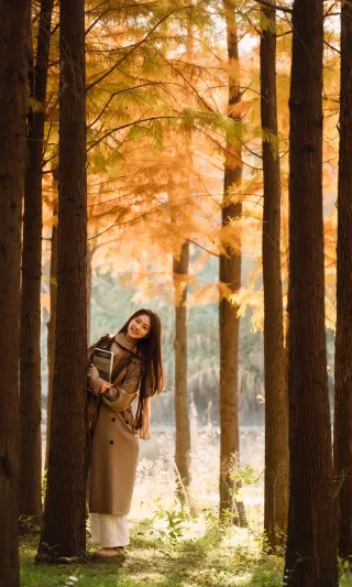 Wuhan's annual must-visit photo spot! The dawn redwoods here shine beautifully