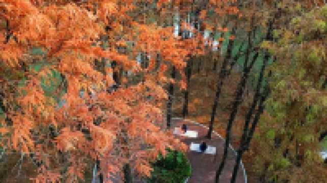 上海新的橫沔公園,開園3天遊客量破萬