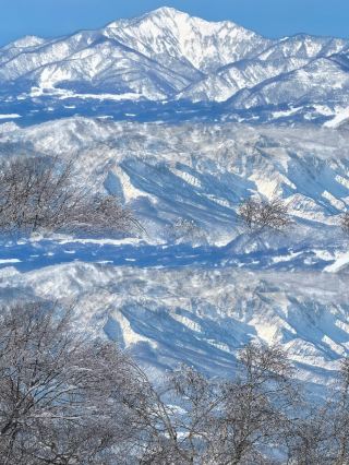 日本の冬の宝物の雪国｜長野！人が少なく絶景の癒しの秘境