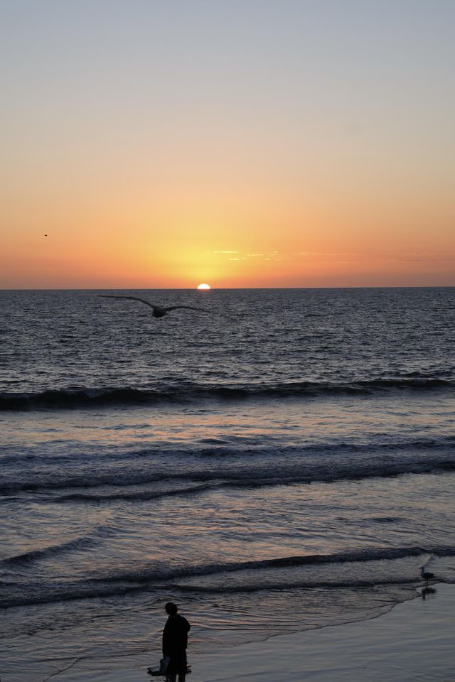 Santa Monica ๐๏ธ Who can resist a California sunset? ๐๏ธ