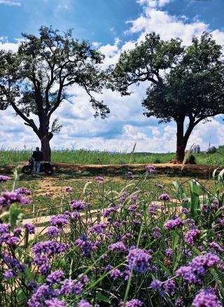 旅の疲れ？一室に茶の香り漂う全季の癒しの旅