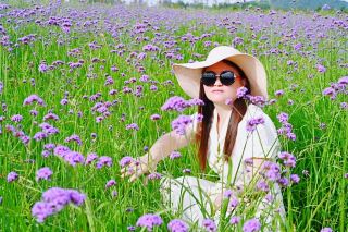 Dragon Boat Festival short holiday trip to Changsha, a family trip to the purple flower sea on Moon Island