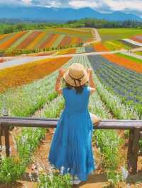日本北海道7天漫遊治癒滿分夏日之旅