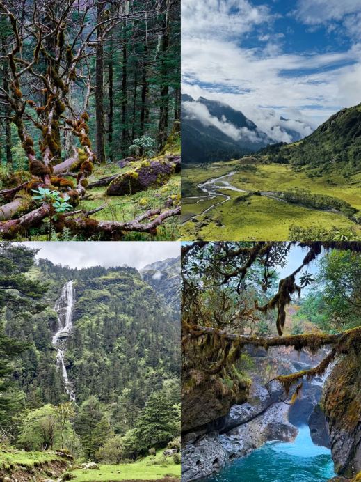 Tránh xa đám đông! Một khu nghỉ dưỡng trên núi hoang sơ tại vùng hồ Erze'e Alpine.