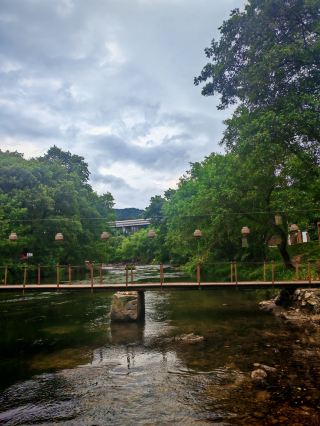 十里小森林｜田舎の小さな江南、代替版の烏鎮