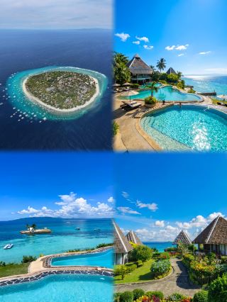 人生必ず行くべき癒しの島｜フィリピン・ボホール島ビザ不要の完全ガイド