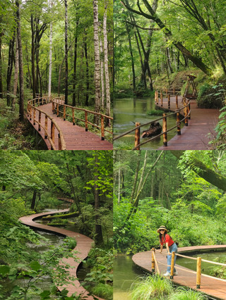 I found the summer wonderland of Erdaobaihe, a hidden gem in Changbai Mountain!