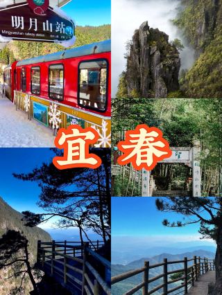 Yichun Zen Slow Travel: Encountering Hot Springs, Bamboo Sea, and a Thousand-Year-Old Ancient Village