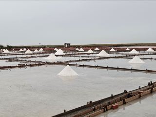 Chiayi & Tainan, Taiwan: The Touch of Capybara Fur and the Scent of Salt Pans | The Toddling Little Traveler.