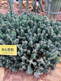 上海溫室花園，近距離感受生態綠洲！