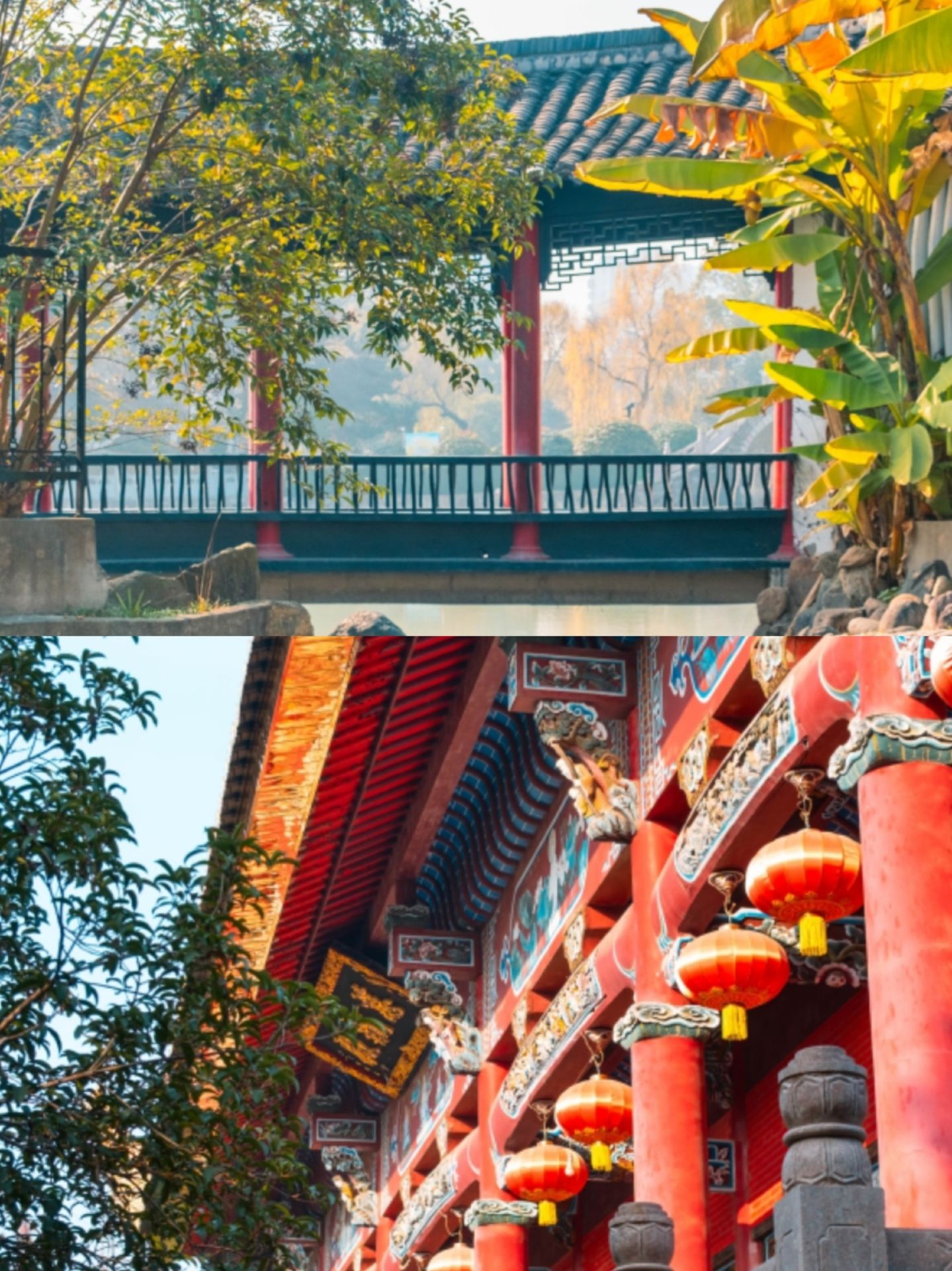 舒城已回，後勁真的太大了。