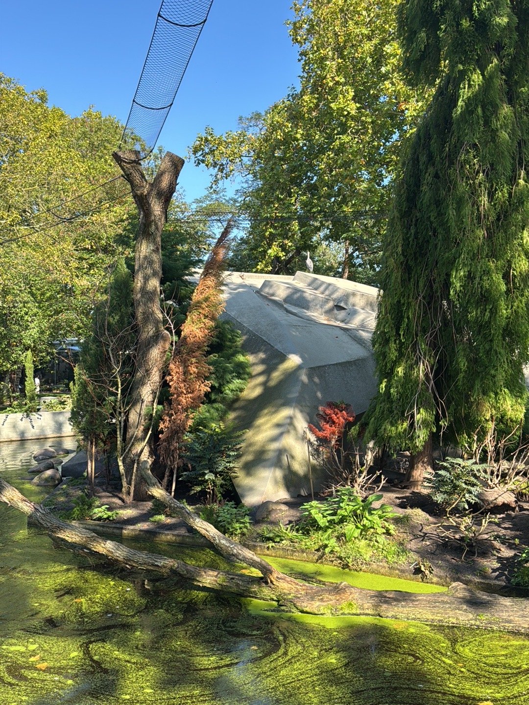 A Must-Visit Zoo and Aquarium in Amsterdam