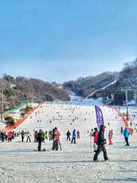 겨울 여행 최고봉, 홍천 비발디파크❄️⛷️🏂