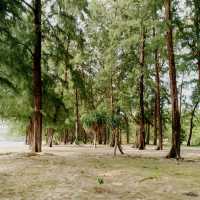 หาดลายัน ชายหาดแห่งความสงบ ที่แท้ทรู
