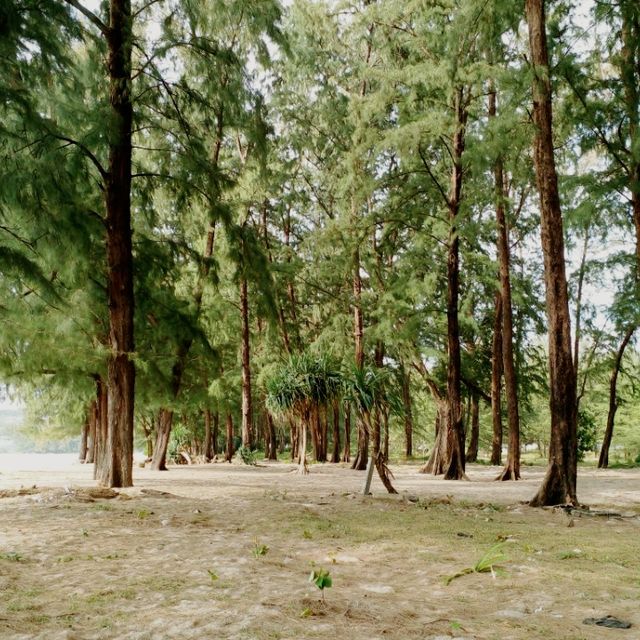 หาดลายัน ชายหาดแห่งความสงบ ที่แท้ทรู