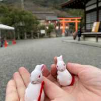漫遊京都抹茶小鎮，吃喝玩樂宇治一日遊。