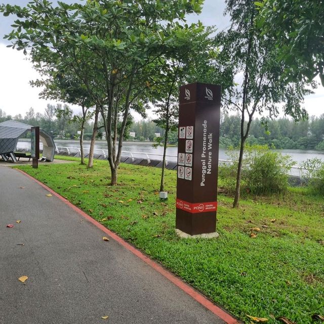 An Adventurous Date at Lor Halus Wetland