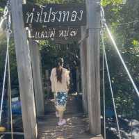 ทุ่งโปรงทอง
