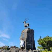 한라산 분화구보다 더 큰 분화구가 있는, 산굼부리🌋