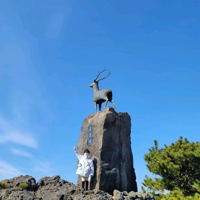 한라산 분화구보다 더 큰 분화구가 있는, 산굼부리🌋