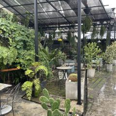 Nokhookcafe' User Photo
