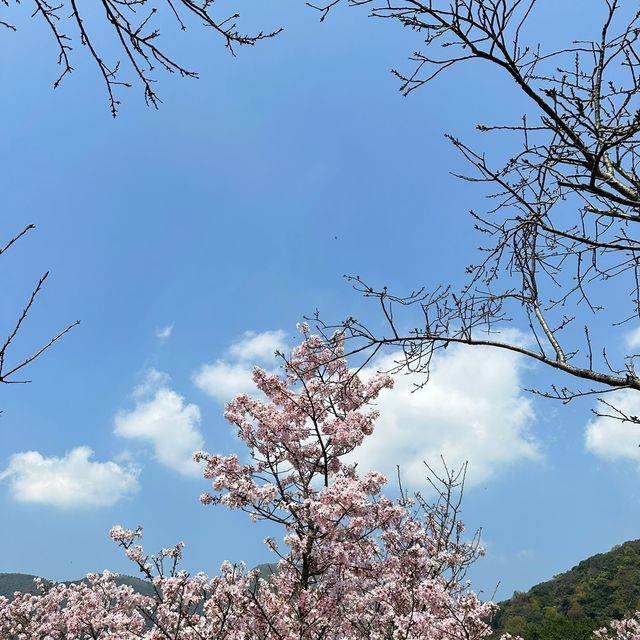 Yangmingshan National Park